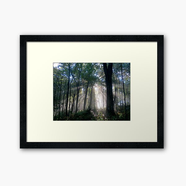 A Guiding Light Framed Art Print