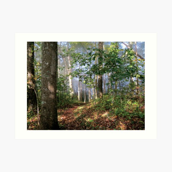 A Walk thru the Woods Art Print