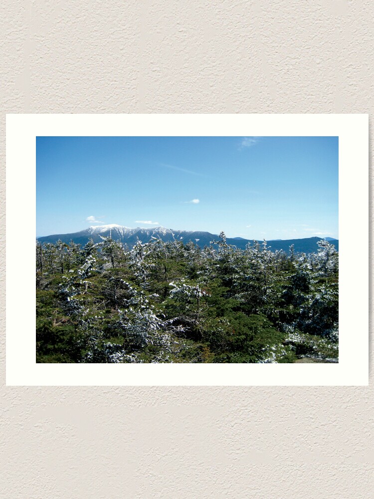 Alternate view of Last of the snow Art Print