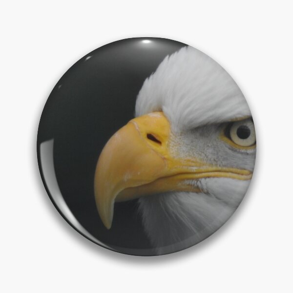 Item preview, Bald Eagle designed and sold by RichImage.