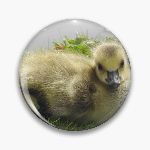 Item preview, Gosling designed and sold by RichImage.