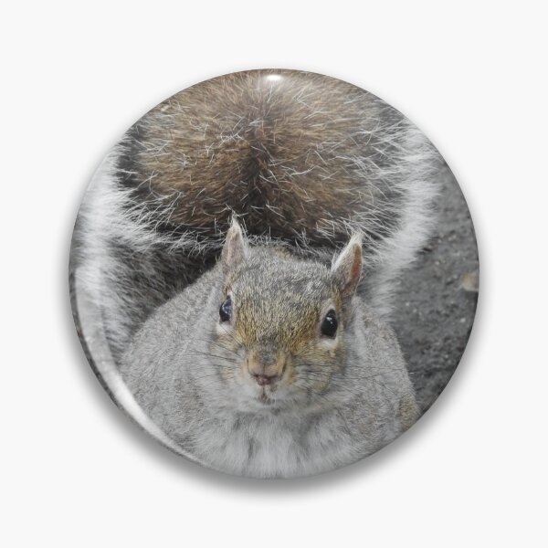 Item preview, Chubby Fluffy Squirrel designed and sold by RichImage.