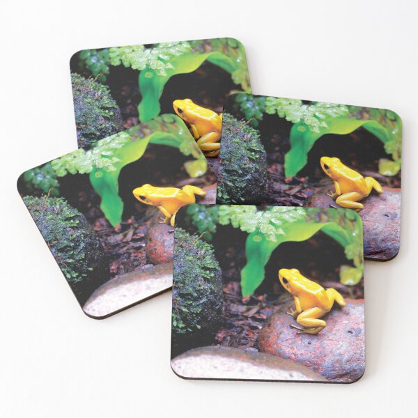 Item preview, The Golden Poison Frog designed and sold by NicoAndBaz.