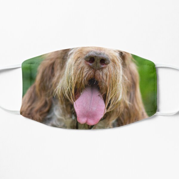 Happy Panting Spinone Flat Mask