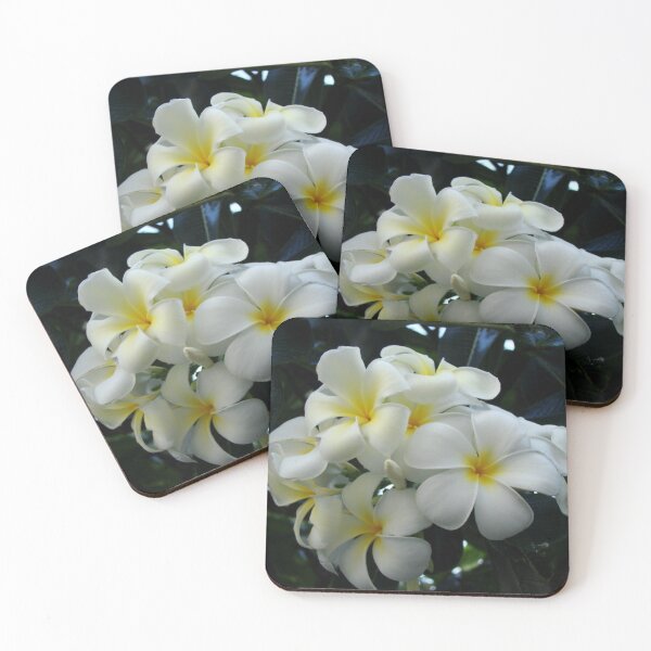 Item preview, Plumeria designed and sold by AGODIPhoto.