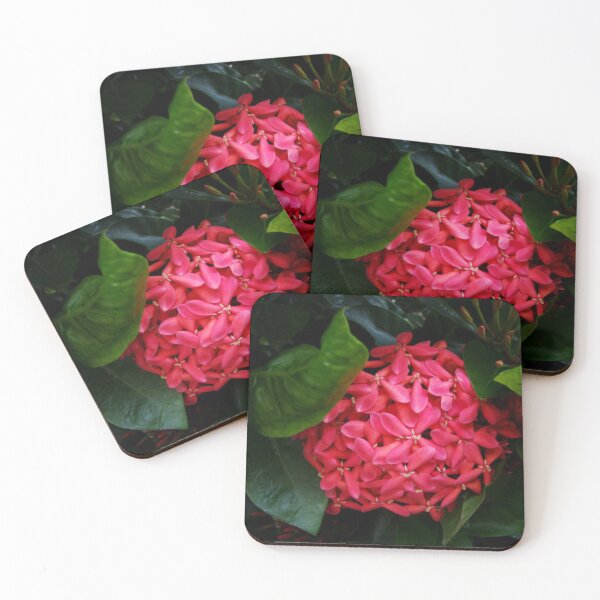 Item preview, Pink Ladies designed and sold by AGODIPhoto.