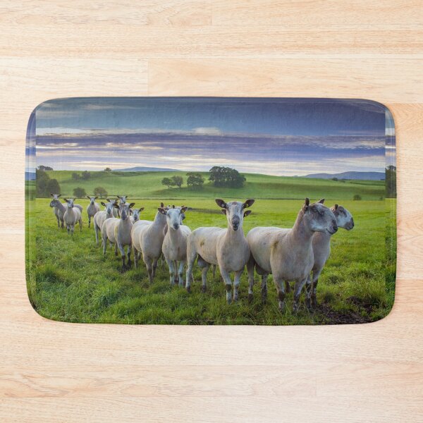 Item preview, Ninja Sheep designed and sold by Cat Perkinton.