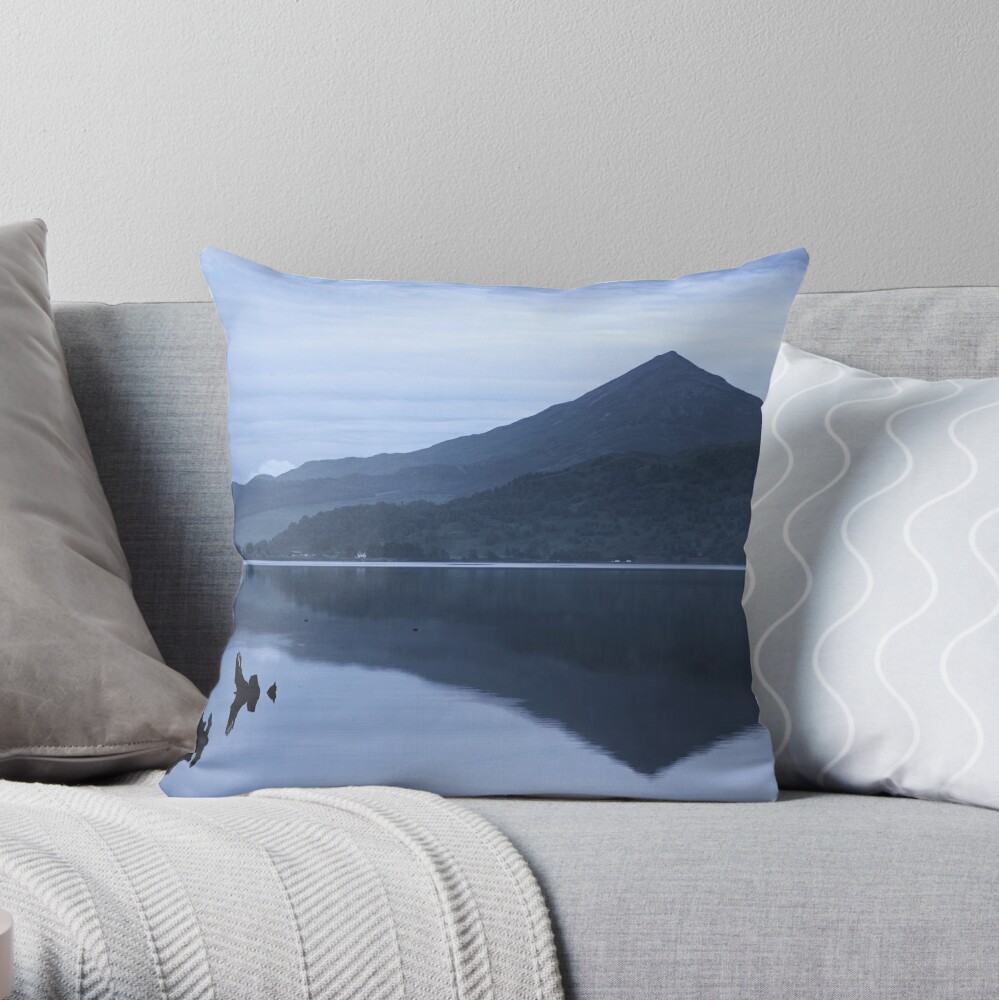 Item preview, Throw Pillow designed and sold by ShinyPhoto.