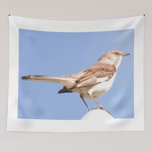 Item preview, Hmmmm… where did she go designed and sold by MChabalaRussell.