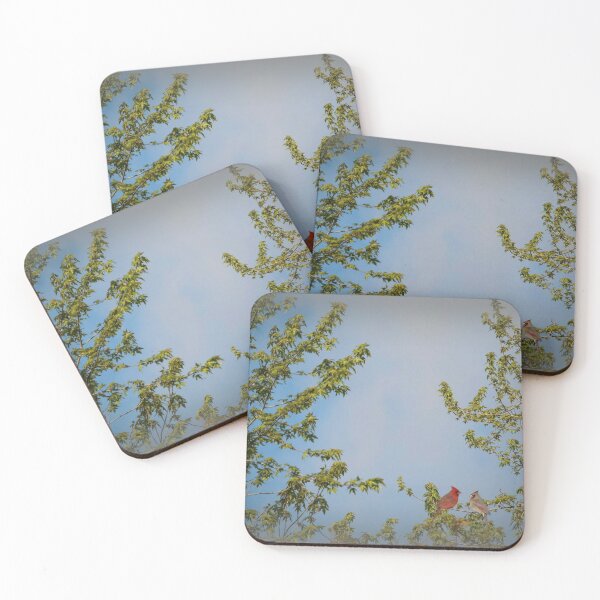 Item preview, MAGICAL WORLD BIRD PARADISE designed and sold by Marie Leblanc.