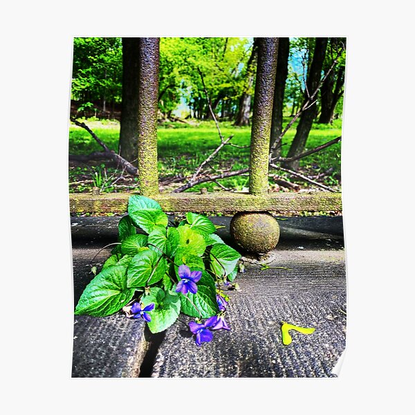 Flower Gate Poster
