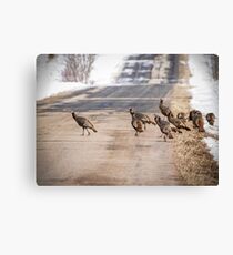 County Road Crew Canvas Print