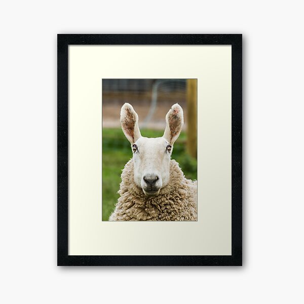 Item preview, Rabbit Eared Sheep designed and sold by Jane Stanley.