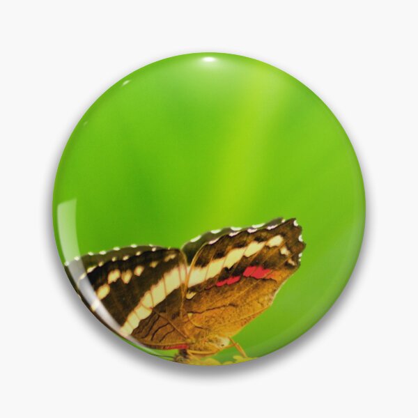 Item preview, oli pollinators designed and sold by pcfyi.