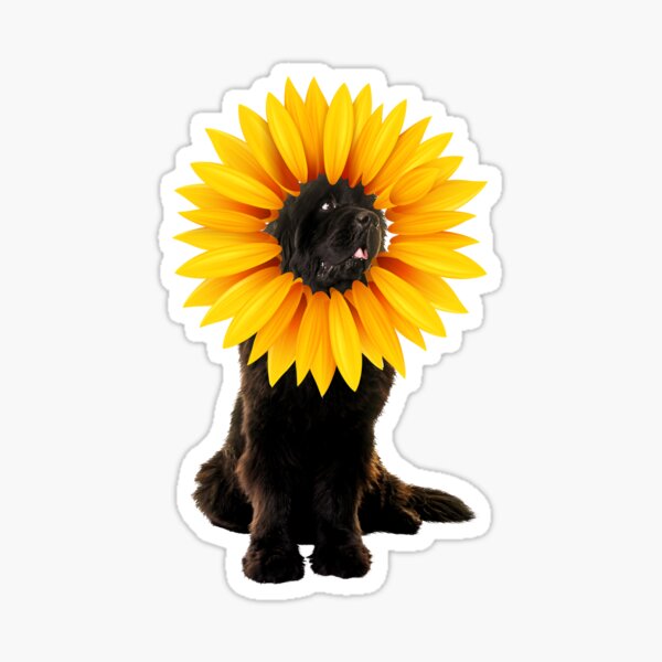Sunflower Newfie Sticker
