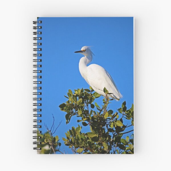 Item preview, Philosophical Differences designed and sold by Michiale.