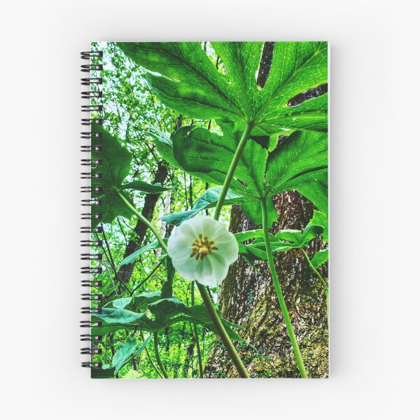 Item preview, Mayapple designed and sold by WayneWise.