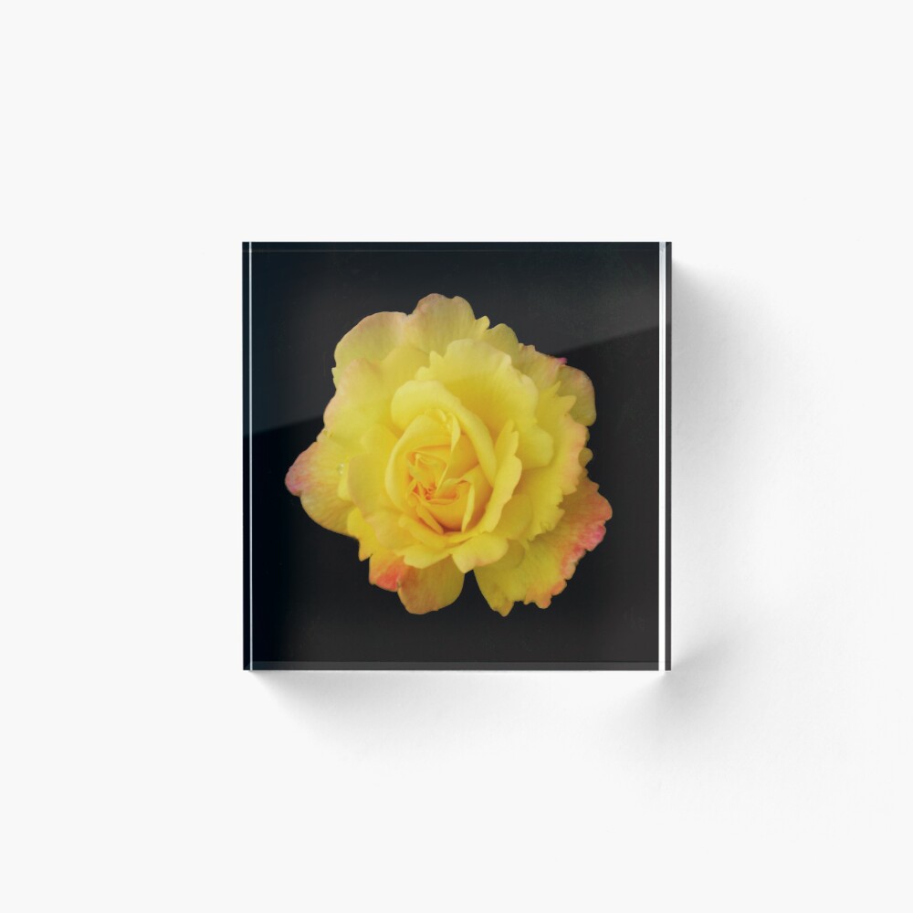 Item preview, Acrylic Block designed and sold by DebbieThompson.