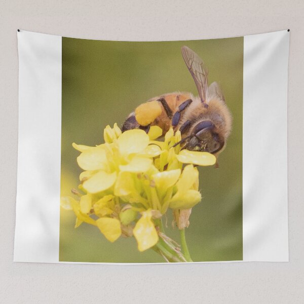 Item preview, Nectar designed and sold by MChabalaRussell.