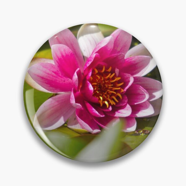 Item preview, Pink Water Lily designed and sold by RichImage.