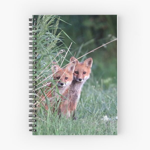 Item preview, Super Cute Red Fox Kits designed and sold by Deb Oppermann.