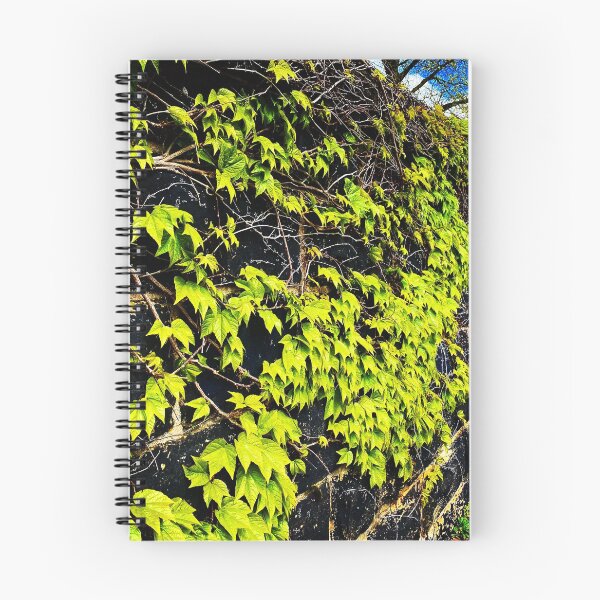 Item preview, Wall of Ivy designed and sold by WayneWise.