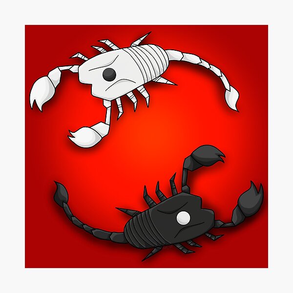 “Yin Yang Scorpions” Photographic Print by mina-arts | Redbubble