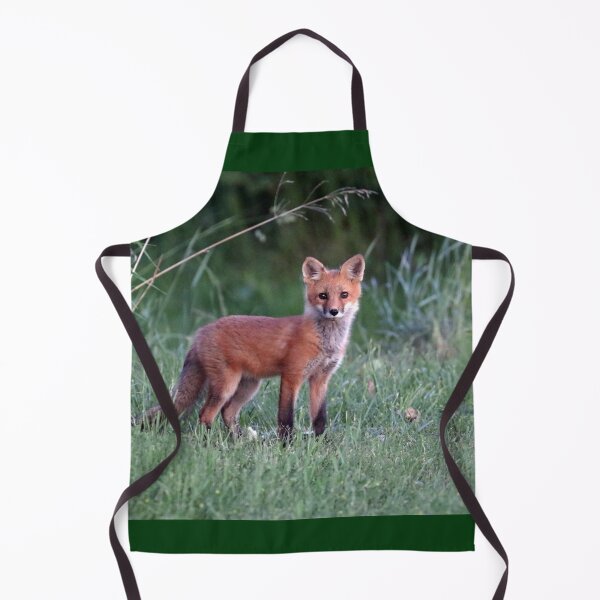 Item preview, Sweet Red Fox Kit designed and sold by Deb Oppermann.