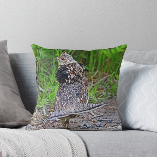 Item preview, Ruffed Grouse Display designed and sold by Deb Oppermann.