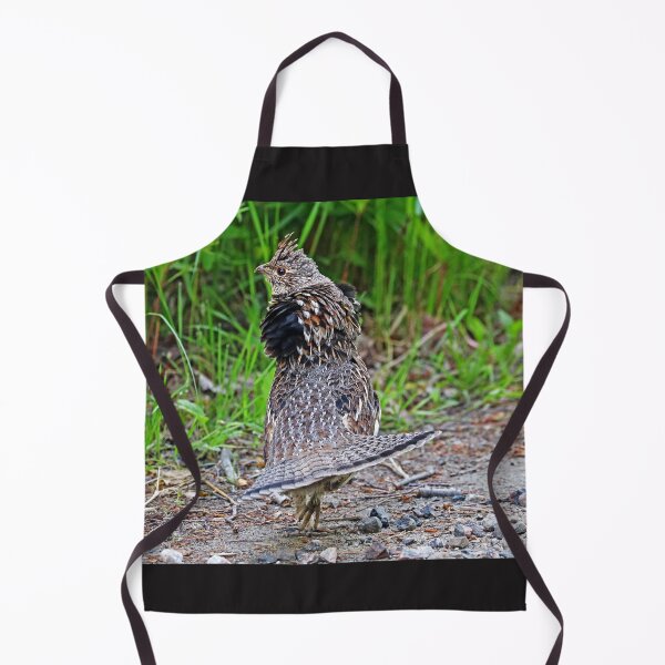 Item preview, Ruffed Grouse Display designed and sold by Deb Oppermann.