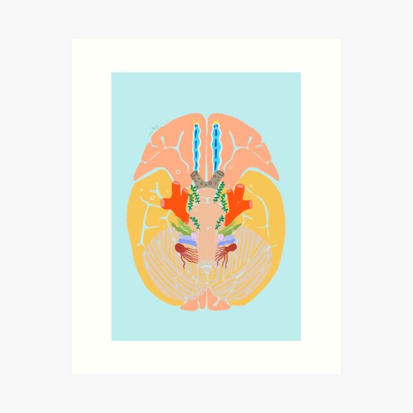 Item preview, Brain Coral designed and sold by Yumiko Kadota.
