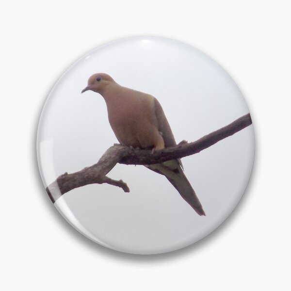 Item preview, Single White-tipped Dove (Leptotila verreauxi) with Breeding Coloration designed and sold by Inuyasha907.