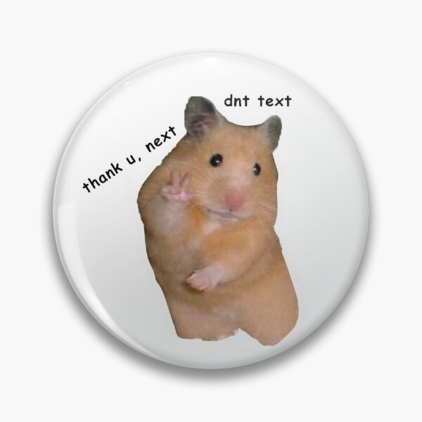 Meme Hamster Peace Sign (thank u, next; don't text) Pin