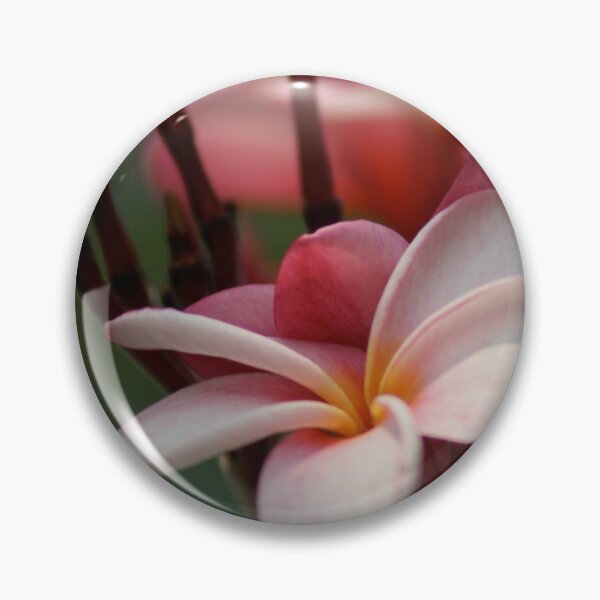 Artikelvorschau, Insel Frangipani entworfen und verkauft von erinsands.