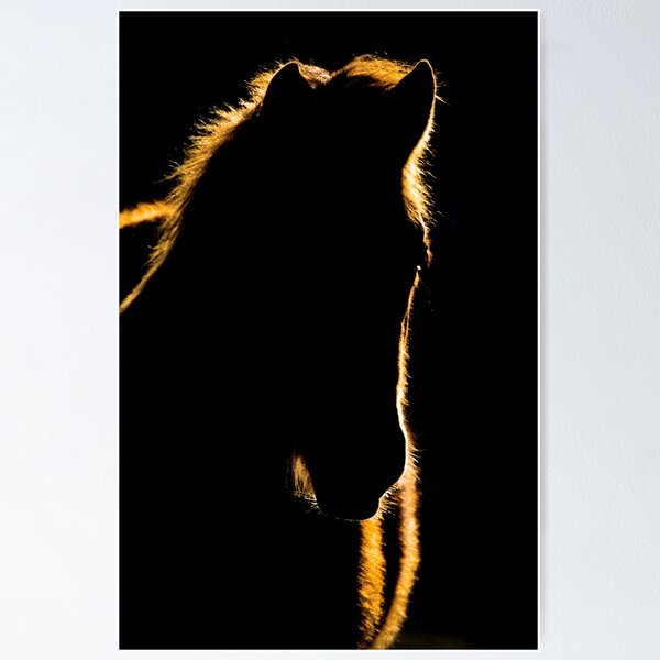 Item preview, Sunset Horse Silhouette Canada designed and sold by pictureguy.