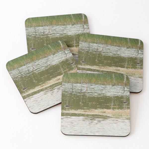 Item preview, Solitary Sandpipers (Tringa solitaria) in Caliche Pit designed and sold by Inuyasha907.