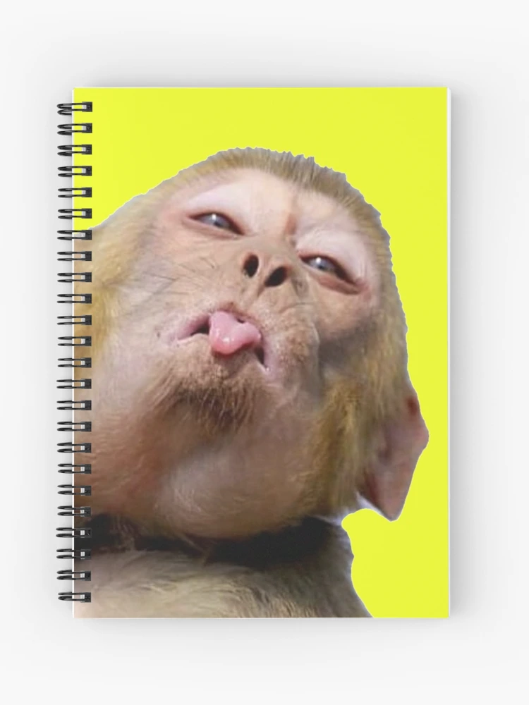 Funny Monkey Meme Cool: Notebook Planner