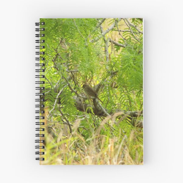 Item preview, Lincolin's Sparrow (Melospiza lincolnii) in Mesquite designed and sold by Inuyasha907.