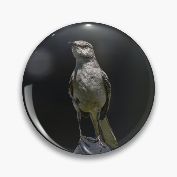 Item preview, Mockingbird designed and sold by cameraface.