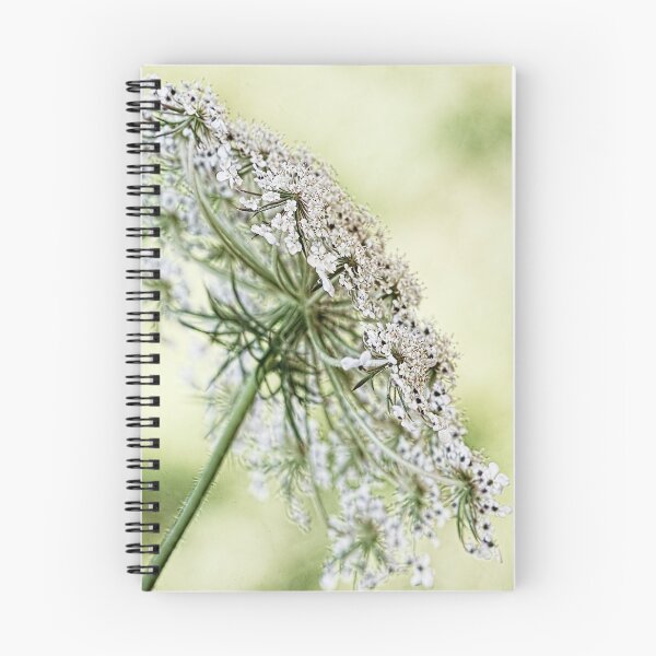 Item preview, Queen's Lace designed and sold by Margi.