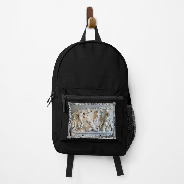 Item preview, GREECE : Vintage 320 B.C. Marble Carved Frieze Print designed and sold by posterbobs.