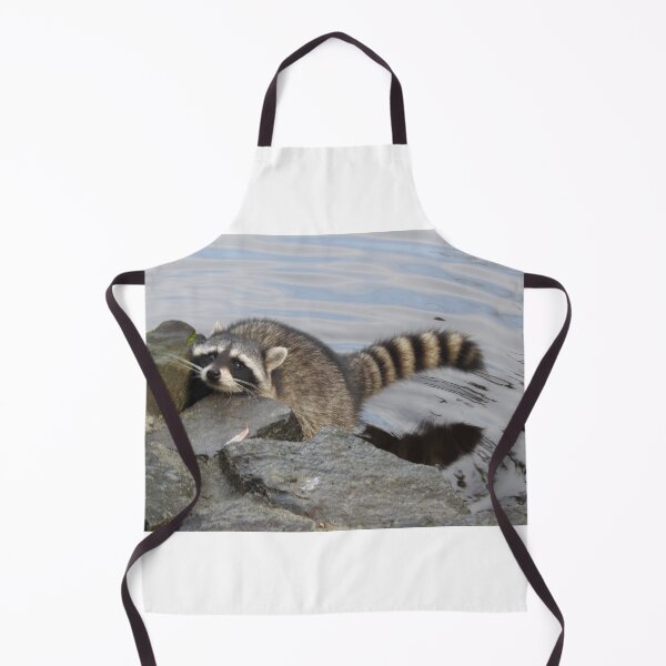 Item preview, hi have any food for a hungry raccoon? designed and sold by RichImage.