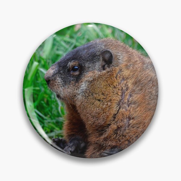 Item preview, Woodchuck designed and sold by Karen Peron.