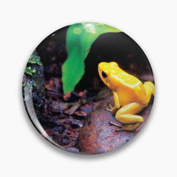 Item preview, The Golden Poison Frog designed and sold by NicoAndBaz.