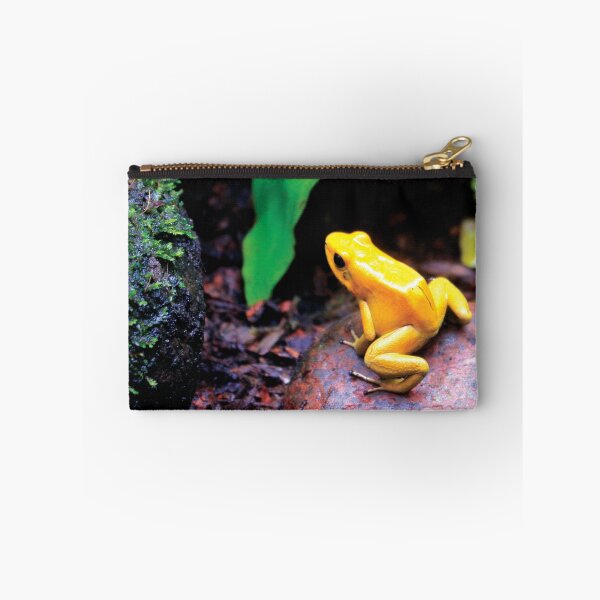 Item preview, The Golden Poison Frog designed and sold by NicoAndBaz.