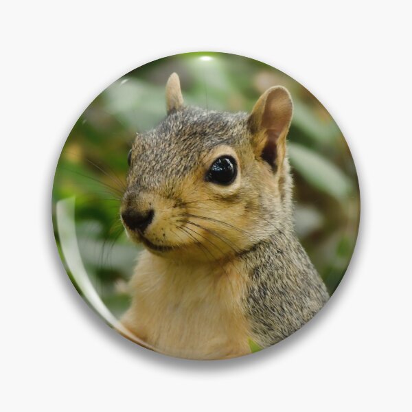 Item preview, Colorado Fox Squirrel designed and sold by Karen Peron.
