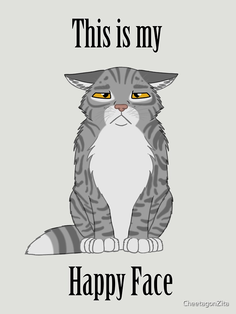 Happy Face - Grey Tabby Cat by CheetagonZita