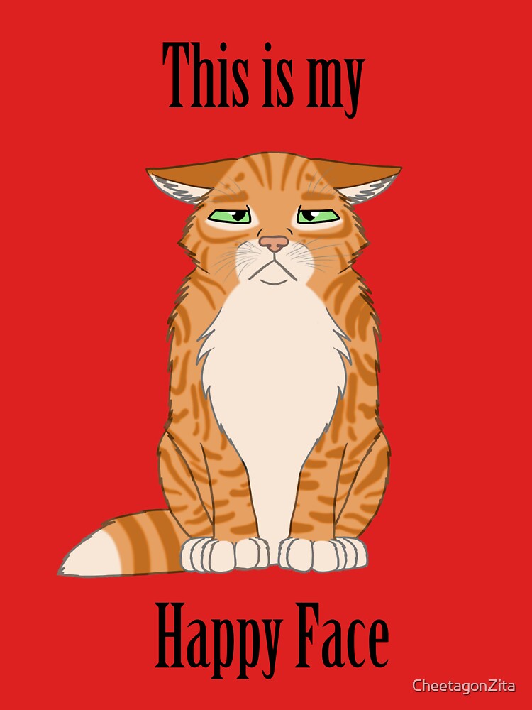 Happy Face - Golden Tabby Cat by CheetagonZita