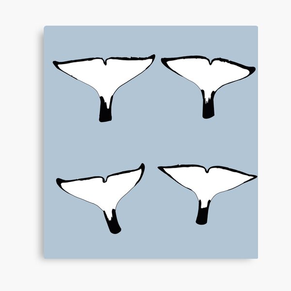 KATINA the killer whale’s family’s tail flukes (no names) Canvas Print
