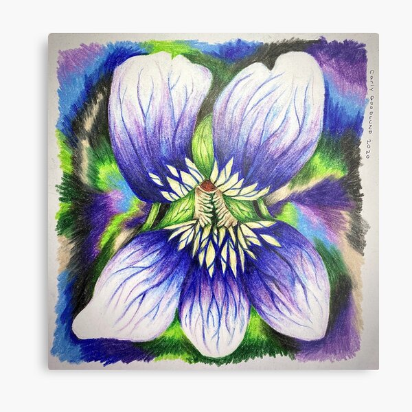 Pencil Flower Wall Art for Sale